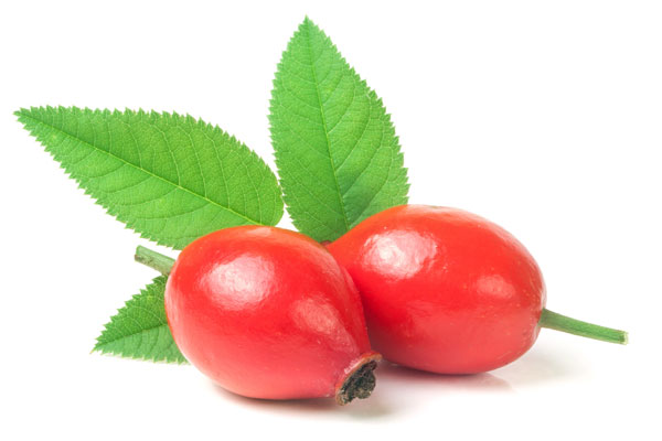 Pure Rose Hip Seed Oil